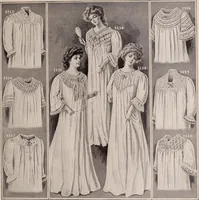 An illustration from New York fashions, 1908 (1908)