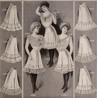 An illustration from New York fashions, 1908 (1908)