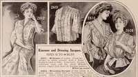 An illustration from New York fashions, 1908 (1908)