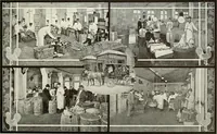 An illustration from New York plaisance (1908)