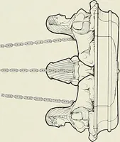 An illustration from New York plaisance (1908)