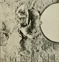 An illustration from New York plaisance (1908)