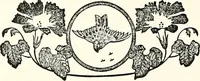 Picture 3 of 9 from The next world interviewed (1896), leaf 195