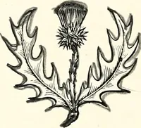 An illustration from The next world interviewed (1896)
