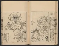An illustration from Nezashi takara (1745)