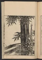 An illustration from Nezashi takara (1745)