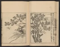 An illustration from Nezashi takara (1745)
