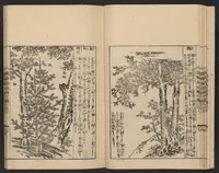 An illustration from Nezashi takara (1745)