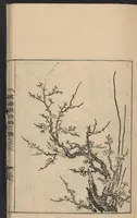 An illustration from Nezashi takara (1745)