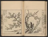 An illustration from Nezashi takara (1745)