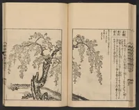 An illustration from Nezashi takara (1745)