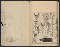 An illustration from Nezashi takara (1745)