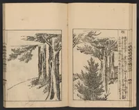 An illustration from Nezashi takara (1745)