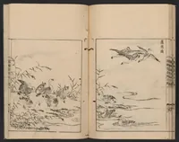 An illustration from Nezashi takara (1745)