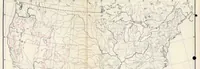 An illustration from A Preliminary Study of the Coleoptera Attacked White Fir (Abies Concolor) (1930)