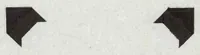 An illustration from A Preliminary Study of the Coleoptera Attacked White Fir (Abies Concolor) (1930)