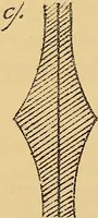 An illustration from Nicht-Euklidische Geometrie (1893)