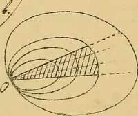 An illustration from Nicht-Euklidische Geometrie (1893)