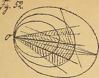 An illustration from Nicht-Euklidische Geometrie (1893)