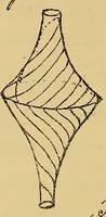 An illustration from Nicht-Euklidische Geometrie (1893)
