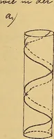 An illustration from Nicht-Euklidische Geometrie (1893)