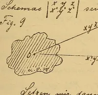 An illustration from Nicht-Euklidische Geometrie (1893)