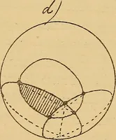 An illustration from Nicht-Euklidische Geometrie (1893)
