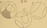 An illustration from Nicht-Euklidische Geometrie (1893)