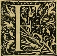 An illustration from Nicolai Leoniceni uiri doctissimi De Plinii et aliorum medicorum erroribus liber : cui addita sunt quaedam eiusdem autoris De herbis & fruticibus. Animalibus. Metallis. Serpentibus. Tiro seu uipera. Nicoleos uere dictus, Victoria nomen praebet, Aristotelem uincit & Hippocratem (1529)