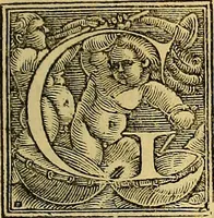 An illustration from Nicolai Leoniceni uiri doctissimi De Plinii et aliorum medicorum erroribus liber : cui addita sunt quaedam eiusdem autoris De herbis & fruticibus. Animalibus. Metallis. Serpentibus. Tiro seu uipera. Nicoleos uere dictus, Victoria nomen praebet, Aristotelem uincit & Hippocratem (1529)