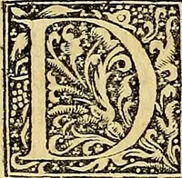 An illustration from Nicolai Leoniceni uiri doctissimi De Plinii et aliorum medicorum erroribus liber : cui addita sunt quaedam eiusdem autoris De herbis & fruticibus. Animalibus. Metallis. Serpentibus. Tiro seu uipera. Nicoleos uere dictus, Victoria nomen praebet, Aristotelem uincit & Hippocratem (1529)