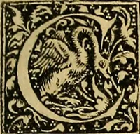 An illustration from Nicolai Leoniceni uiri doctissimi De Plinii et aliorum medicorum erroribus liber : cui addita sunt quaedam eiusdem autoris De herbis & fruticibus. Animalibus. Metallis. Serpentibus. Tiro seu uipera. Nicoleos uere dictus, Victoria nomen praebet, Aristotelem uincit & Hippocratem (1529)