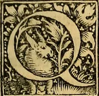 An illustration from Nicolai Leoniceni uiri doctissimi De Plinii et aliorum medicorum erroribus liber : cui addita sunt quaedam eiusdem autoris De herbis & fruticibus. Animalibus. Metallis. Serpentibus. Tiro seu uipera. Nicoleos uere dictus, Victoria nomen praebet, Aristotelem uincit & Hippocratem (1529)