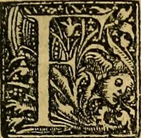 An illustration from Nicolai Leoniceni uiri doctissimi De Plinii et aliorum medicorum erroribus liber : cui addita sunt quaedam eiusdem autoris De herbis & fruticibus. Animalibus. Metallis. Serpentibus. Tiro seu uipera. Nicoleos uere dictus, Victoria nomen praebet, Aristotelem uincit & Hippocratem (1529)