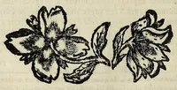 An illustration from Nicolai Parthenii Giannettasii Neapolit. Soc. Jesu. Halieutica (1689)