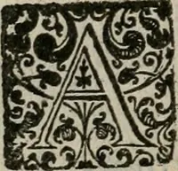 An illustration from Nicolai Vernulaei caesari regijque historiographi, & publici eloquentiae ac politices professoris Louanij, Imperatorvm symbola praeclaris regum, principumque nec-non variorum scriptorum exemplis illustrata : quibus accedit Commentarius in Andreae Alciati Emblemata vsque ad emblema XV (1650)