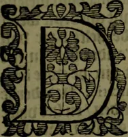 An illustration from Nieuvve vverelt, anders ghenaempt VVest-Indien (1622)