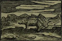 An illustration from Nieuvve vverelt, anders ghenaempt VVest-Indien (1622)