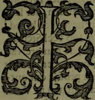 An illustration from Nieuvve vverelt, anders ghenaempt VVest-Indien (1622)