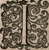 An illustration from Nieuvve wereldt, ofte, Beschrijvinghe van West-Indien : wt veelderhande schriften ende aen-teeckeninghen van verscheyden natien (1625)