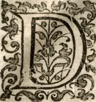 An illustration from Nieuvve wereldt, ofte, Beschrijvinghe van West-Indien : wt veelderhande schriften ende aen-teeckeninghen van verscheyden natien (1625)