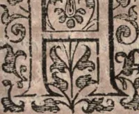 Picture 18 of 43 from Nieuvve wereldt, ofte, Beschrijvinghe van West-Indien : wt veelderhande schriften ende aen-teeckeninghen van verscheyden natien (1625), leaf 289