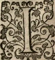 An illustration from Nieuvve wereldt, ofte, Beschrijvinghe van West-Indien : wt veelderhande schriften ende aen-teeckeninghen van verscheyden natien (1625)