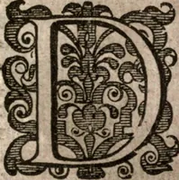 An illustration from Nieuvve wereldt, ofte, Beschrijvinghe van West-Indien : wt veelderhande schriften ende aen-teeckeninghen van verscheyden natien (1625)