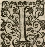 An illustration from Nieuvve wereldt, ofte, Beschrijvinghe van West-Indien : wt veelderhande schriften ende aen-teeckeninghen van verscheyden natien (1625)