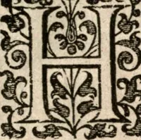 An illustration from Nieuvve wereldt, ofte, Beschrijvinghe van West-Indien : wt veelderhande schriften ende aen-teeckeninghen van verscheyden natien (1625)