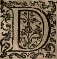 An illustration from Nieuvve wereldt, ofte, Beschrijvinghe van West-Indien : wt veelderhande schriften ende aen-teeckeninghen van verscheyden natien (1625)