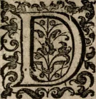 An illustration from Nieuvve wereldt, ofte, Beschrijvinghe van West-Indien : wt veelderhande schriften ende aen-teeckeninghen van verscheyden natien (1625)
