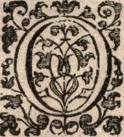 An illustration from Nieuvve wereldt, ofte, Beschrijvinghe van West-Indien : wt veelderhande schriften ende aen-teeckeninghen van verscheyden natien (1625)