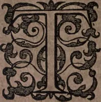 An illustration from Nieuvve wereldt, ofte, Beschrijvinghe van West-Indien : wt veelderhande schriften ende aen-teeckeninghen van verscheyden natien (1625)